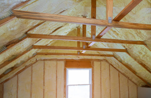 Best Insulation Maintenance and Repair in St Anne, IL
